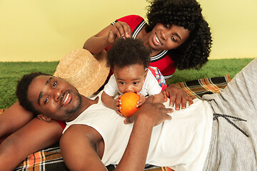 Image showing Happy family having picnic at studio