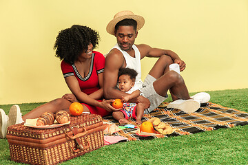 Image showing Happy family having picnic at studio