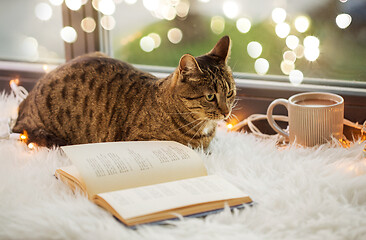 Image showing tabby cat lying on window sill with book at home