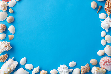 Image showing frame of different sea shells on blue background