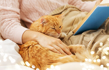 Image showing red cat and female owner reading book at home