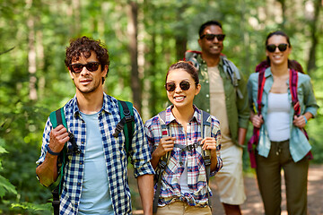 Image showing group of friends with backpacks hiking in forest