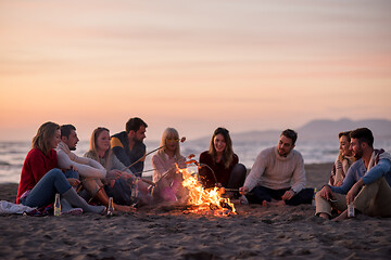 Image showing Group Of Young Friends Sitting By The Fire at beach