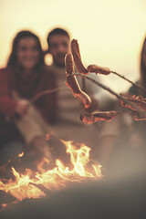 Image showing Group Of Young Friends Sitting By The Fire at beach