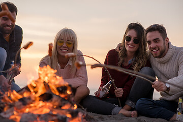 Image showing Group Of Young Friends Sitting By The Fire at beach