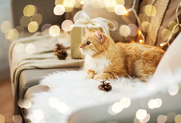 Image showing red tabby cat on sofa with christmas gift at home