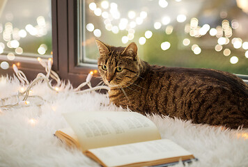 Image showing tabby cat lying on window sill with book at home