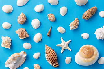 Image showing different sea shells on blue background