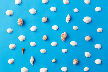 Image showing different sea shells on blue background