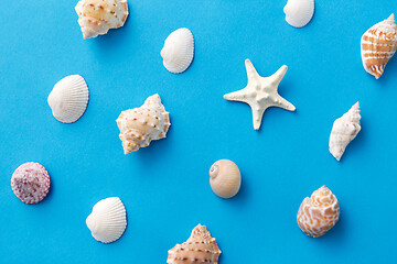 Image showing different sea shells on blue background