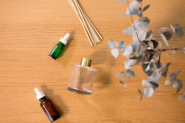 Image showing aroma reed diffuser, essential oil and eucalyptus