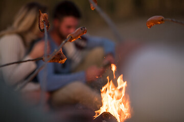 Image showing Group Of Young Friends Sitting By The Fire at beach