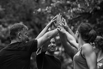 Image showing runners giving high five to each other