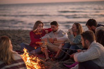 Image showing Group Of Young Friends Sitting By The Fire at beach