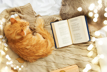 Image showing red tabby cat lying on blanket at home in winter