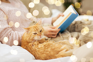 Image showing red cat and female owner reading book at home