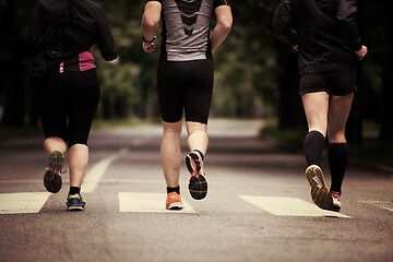 Image showing runners team on morning training