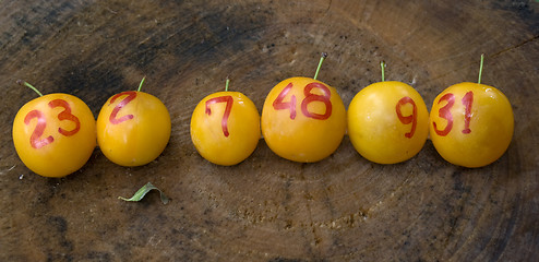 Image showing yellow plums like lottery winning balls