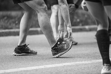 Image showing runners team warming up and stretching before morning training