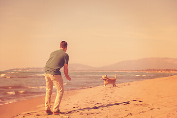 Image showing man with dog enjoying free time on the beach