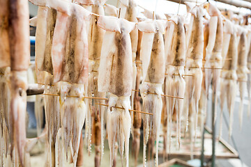 Image showing Hanging of squid at outdoor