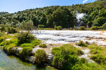 Image showing volcanic activities at waimangu