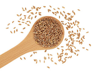 Image showing Organic Emmer Farro Wholegrain Wheat