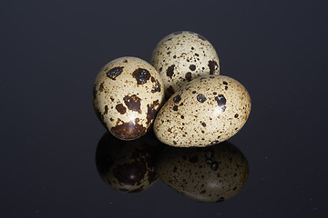 Image showing three quail eggs