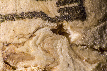 Image showing cork macro shot