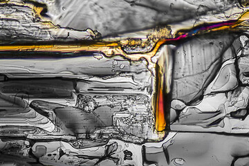 Image showing Ammonium sulfate microcrystals