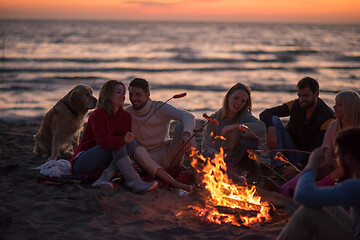 Image showing Group Of Young Friends Sitting By The Fire at beach