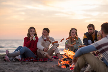 Image showing Group Of Young Friends Sitting By The Fire at beach