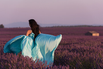 Image showing woman in lavender flower field