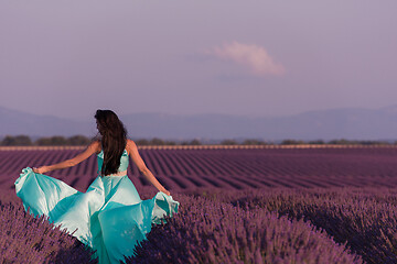 Image showing woman in lavender flower field