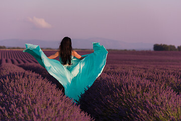 Image showing woman in lavender flower field