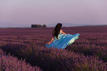 Image showing woman in lavender flower field