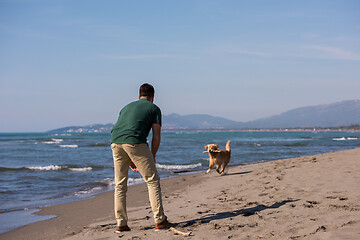 Image showing man with dog enjoying free time on the beach