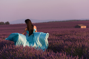 Image showing woman in lavender flower field