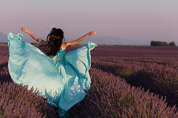 Image showing woman in lavender flower field