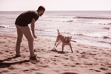 Image showing man with dog enjoying free time on the beach