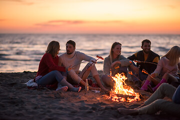 Image showing Group Of Young Friends Sitting By The Fire at beach