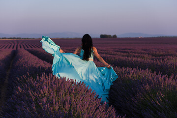 Image showing woman in lavender flower field