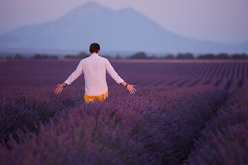 Image showing man in lavender  field