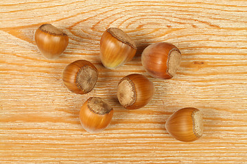 Image showing Hazelnuts