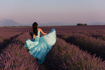 Image showing woman in lavender flower field