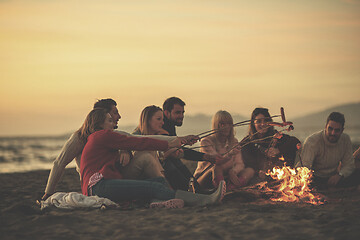 Image showing Group Of Young Friends Sitting By The Fire at beach