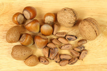 Image showing Nuts