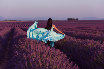 Image showing woman in lavender flower field