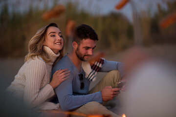 Image showing Group Of Young Friends Sitting By The Fire at beach