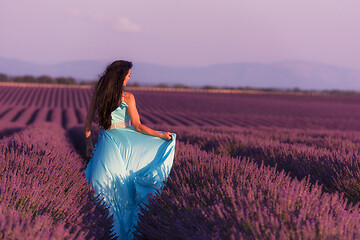 Image showing woman in lavender flower field